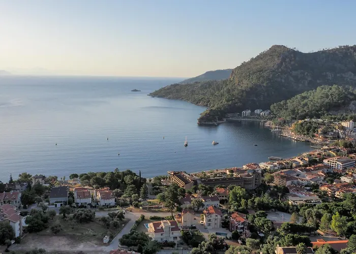 Oliva Mare
