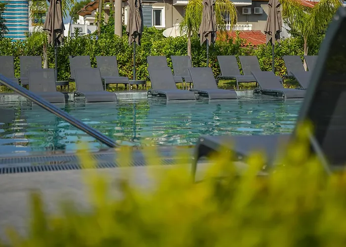 Hotel Oliva Verde
